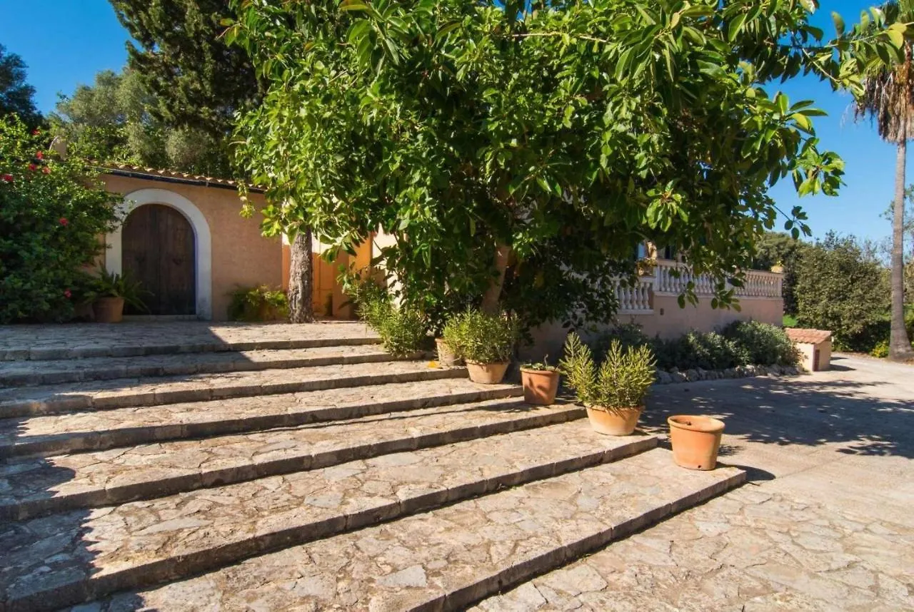 Son Simo d'Alt Villa Alcúdia 0*,